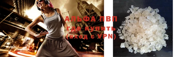 гашик Краснослободск