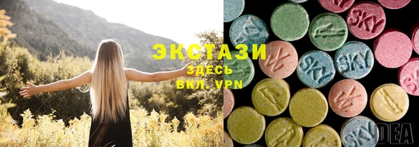 гашик Краснослободск