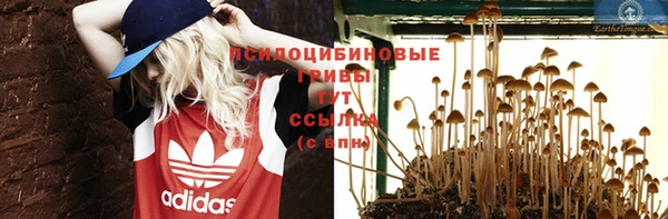 винт Костерёво