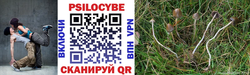 Купить закладки  Саратов  Псилоцибиновые грибы MAGIC MUSHROOMS 